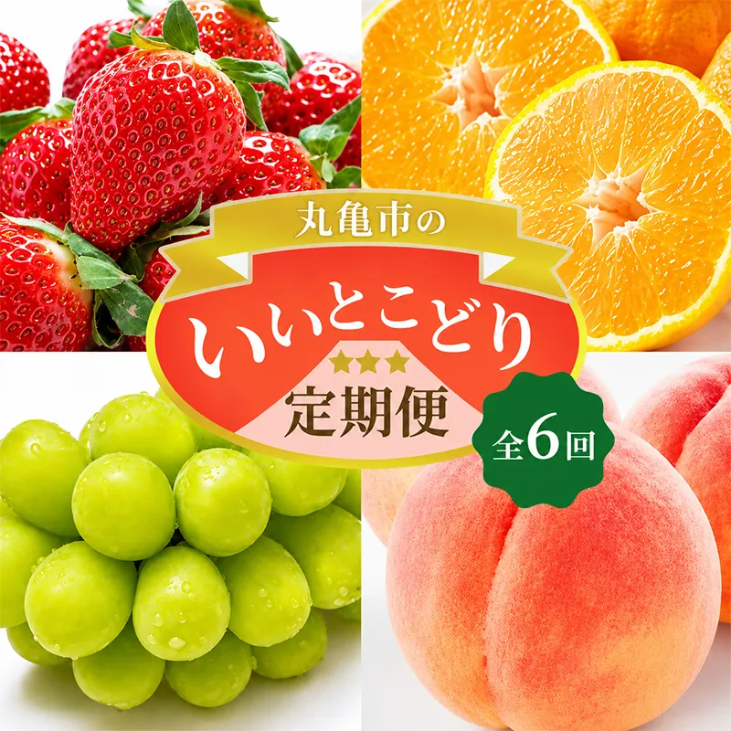 フルーツ 定期便 6ヶ月 丸亀市のいいとこどり定期便 セット 詰め合わせ 桃 ニューピオーネ シャインマスカット みかん いちご デコポン さぬきひめ せとか 果物 6回 半年 香川 