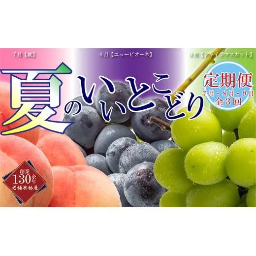 【全3回】フルーツ定期便「丸亀市夏のいいとこどり定期便」/シャインマスカット 桃 ピオーネ 定期配送 頒布会 果実 果物 果物類 ブドウ ニューピオーネ 季節の果物 旬のフルーツ