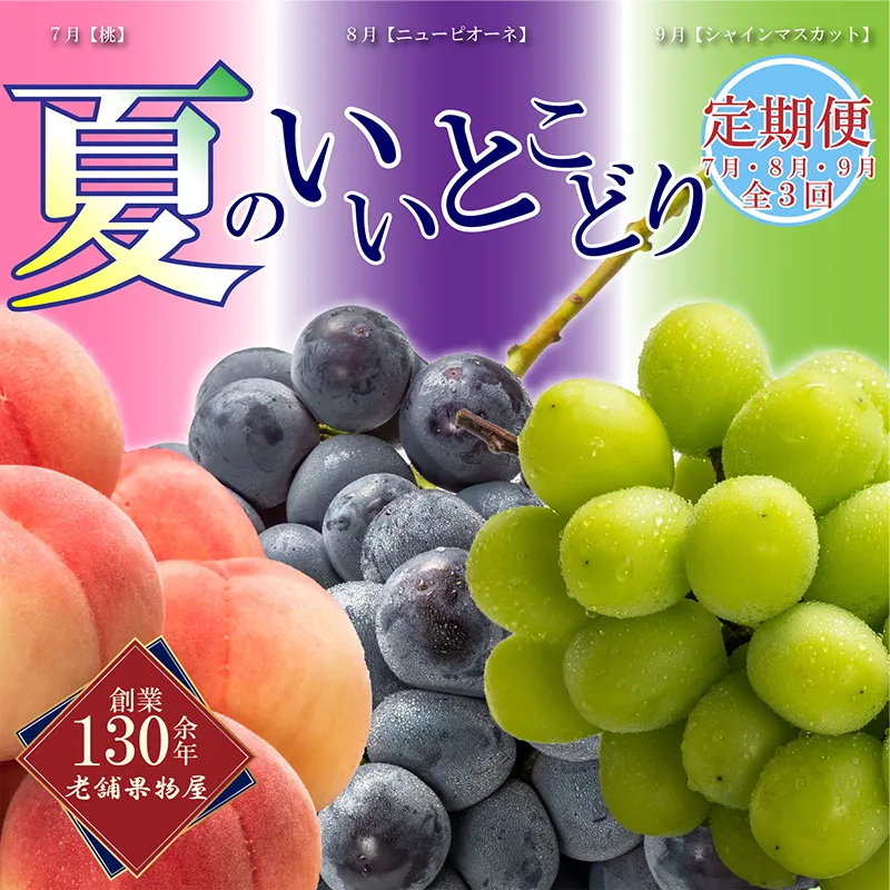 【全3回】 フルーツ定期便 丸亀市夏のいいとこどり定期便 シャインマスカット 桃 ピオーネ  定期配送 頒布会 果実 果物 フルーツ 旬のフルーツ フルーツギフト フルーツ定期 フルーツ定期便 果物定期 果物定期便 人気果物 人気フルーツ 夏フルーツ  香川 丸亀