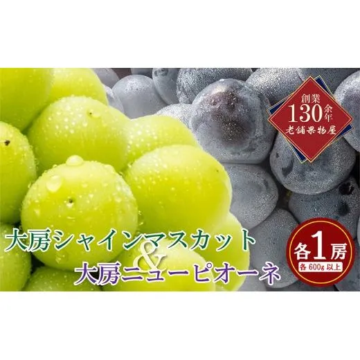 大房シャインマスカット＆大房ニューピオーネ 各1房（各約600g） 果物類 フルーツ ブドウ ジューシーで濃厚