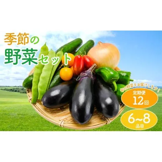 【定期便12回】 野菜 セット 詰め合わせ やさい 旬 季節 キャベツ 玉ねぎ きゅうり なす トマト じゃがいも とうもろこし ブロッコリー アスパラガス 大根 香川県 丸亀市