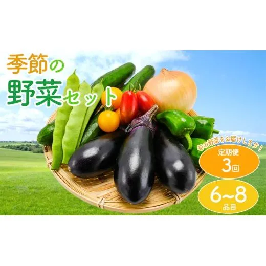 【定期便3回】 野菜 セット 詰め合わせ やさい 旬 季節 キャベツ 玉ねぎ きゅうり なす トマト じゃがいも とうもろこし ブロッコリー アスパラガス 大根 香川県 丸亀市