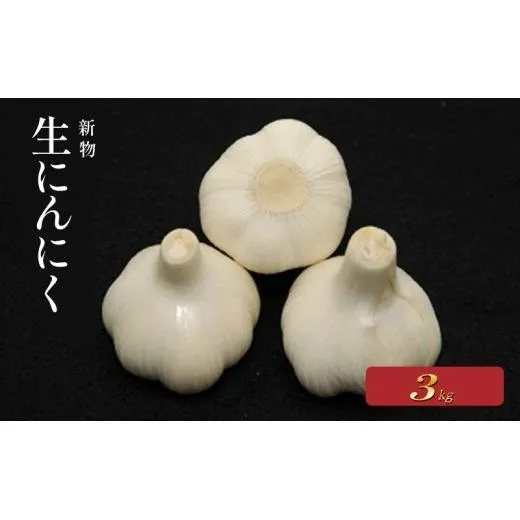 【2027年 先行予約】 生にんにく 新物 約3kg  ニンニク 生にんにく 大蒜 肉厚 時期限定 ガーリック にんにく 生 香り 料理 香川県 丸亀市