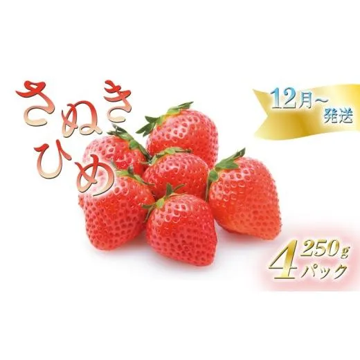いちごのお姫様 さぬきひめ 12月中旬から順次発送 選べる容量 約250g×4パック 苺 いちご 果物 フルーツ 果物 ブランド さぬき姫 ジューシー 果汁 甘い 季節 デザート スイーツ ふるさと納税いちご ふるさと納税フルーツ 国産 香川県 丸亀市