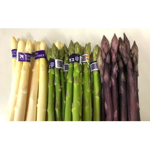 アスパラガス 3種 セット丸亀産 アスパラ グリーンアスパラ ホワイトアスパラガス 紫アスパラガス 野菜 旬 旬の野菜 季節の野菜 産地直送 香川 香川県 丸亀 冷蔵 冷蔵配送 先行 予約 2026 2026年 3月以降発送開始