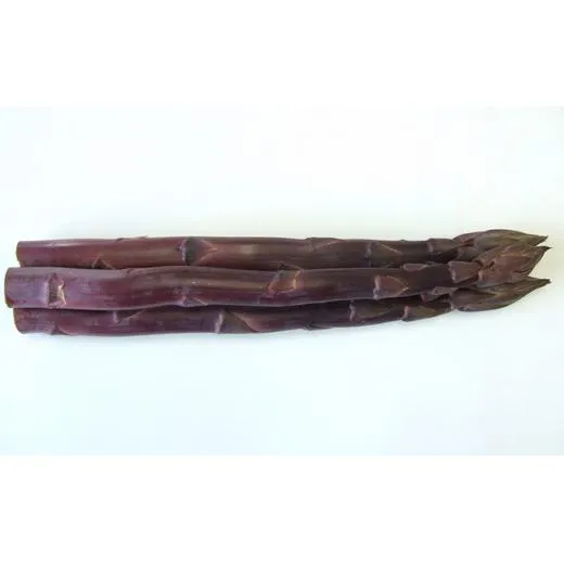 アスパラガス 超貴重 紫アスパラガス 約800g 丸亀産 アスパラ 希少 幻 野菜 旬 旬の野菜 季節の野菜 産地直送 香川 香川県 丸亀 丸亀市 冷蔵 冷蔵配送 先行 予約 先行予約 2026 2026年 3月以降発送開始