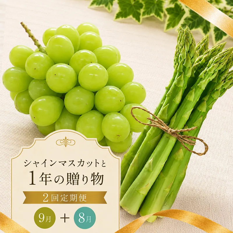 定期便 2回 シャインマスカット さぬきのめざめ アスパラ アスパラガス グリーンアスパラ ぶどう 果物 野菜 フルーツ 旬 旬のフルーツ 贈答用 ギフト プレゼント 香川県 丸亀市