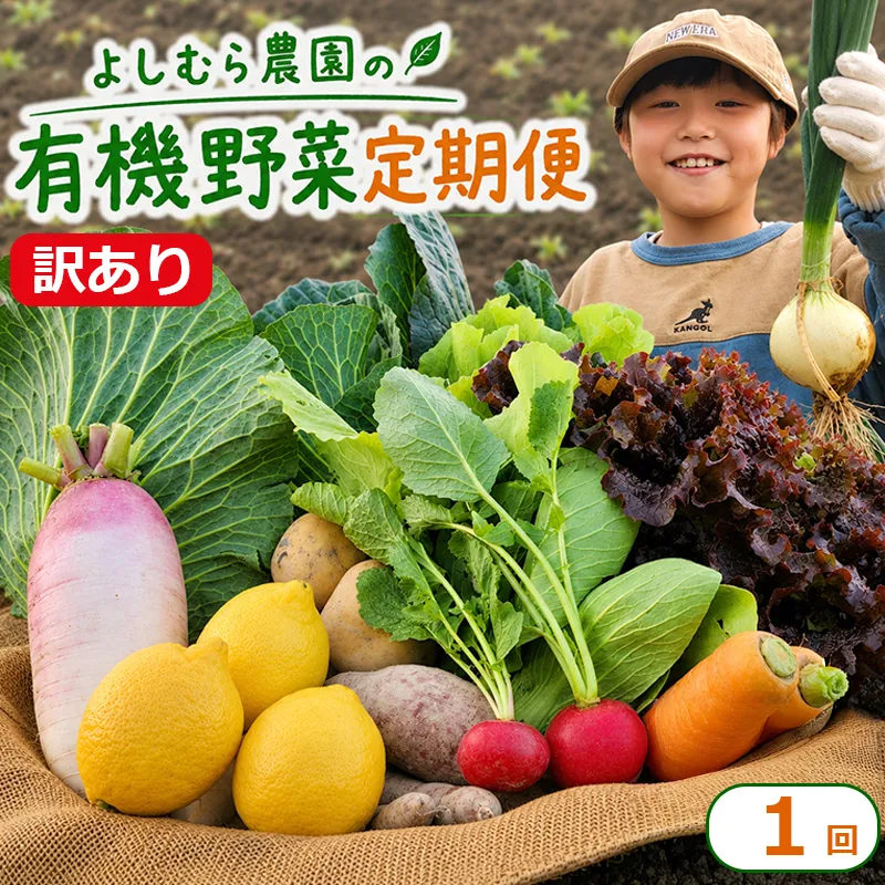 訳あり 野菜 詰め合わせ 6種 よしむら農園 オーガニック 有機 有機野菜 やさい ベジタブル おまかせ セット 一人暮らし おすすめ レタス とうもろこし トマト 有機栽培 JAS 栄養 贅沢 国産 大容量 人気 新鮮 今が旬 香川県 丸亀市