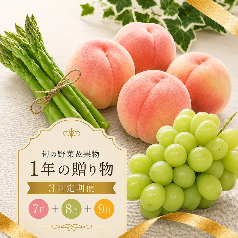 定期便 3回 シャインマスカット 桃 アスパラ ぶどう さぬきのめざめ アスパラガス 果物 野菜 フルーツ 旬 旬のフルーツ 贈答用 ギフト プレゼント 香川県 丸亀市
