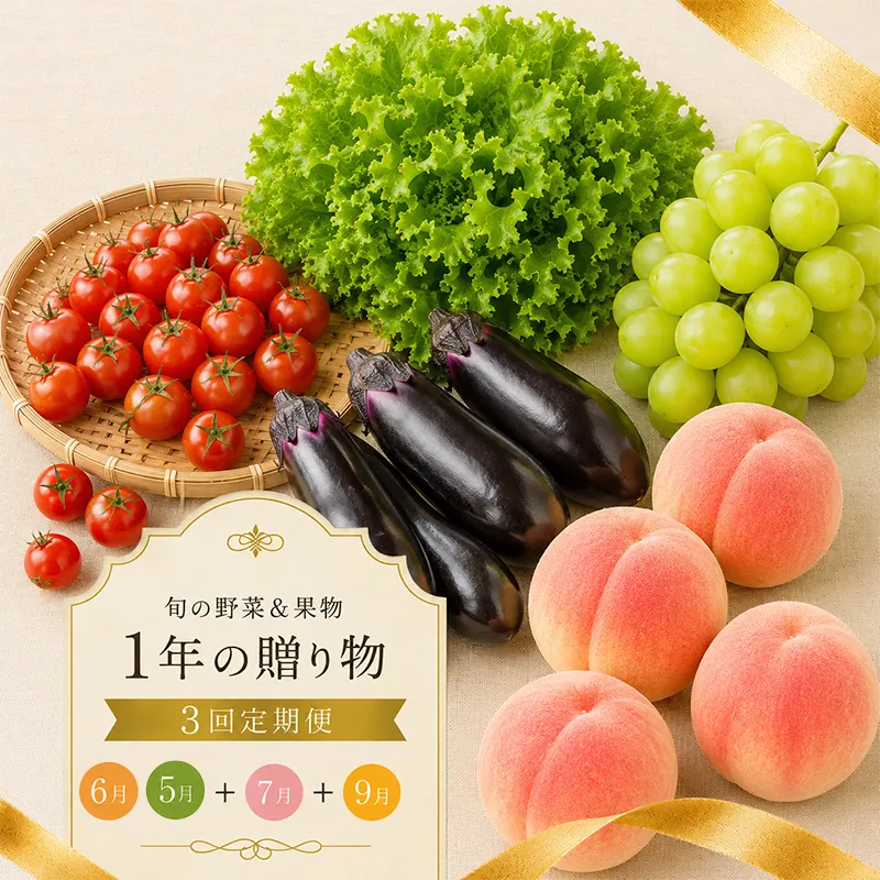 定期便 3回 シャインマスカット 桃 ぶどう 野菜 セット 旬の野菜 果物 フルーツ 旬 旬のフルーツ 贈答用 ギフト プレゼント 香川県 丸亀市