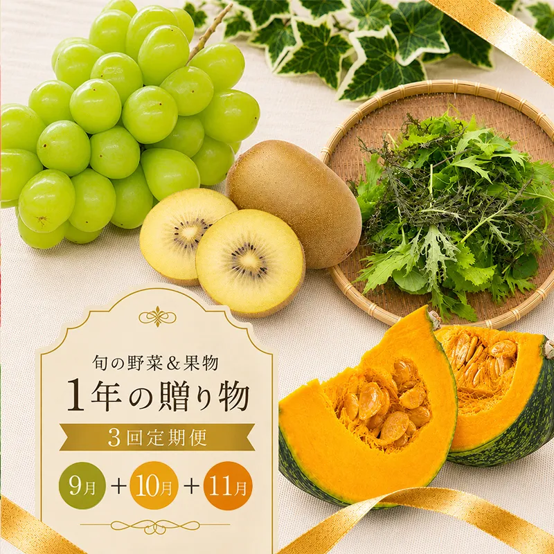 定期便 3回 シャインマスカット キウイ ぶどう ゴールドキウイ 野菜 セット 旬 季節 秋 果物 フルーツ 旬 旬のフルーツ 贈答用 ギフト プレゼント 香川県 丸亀市