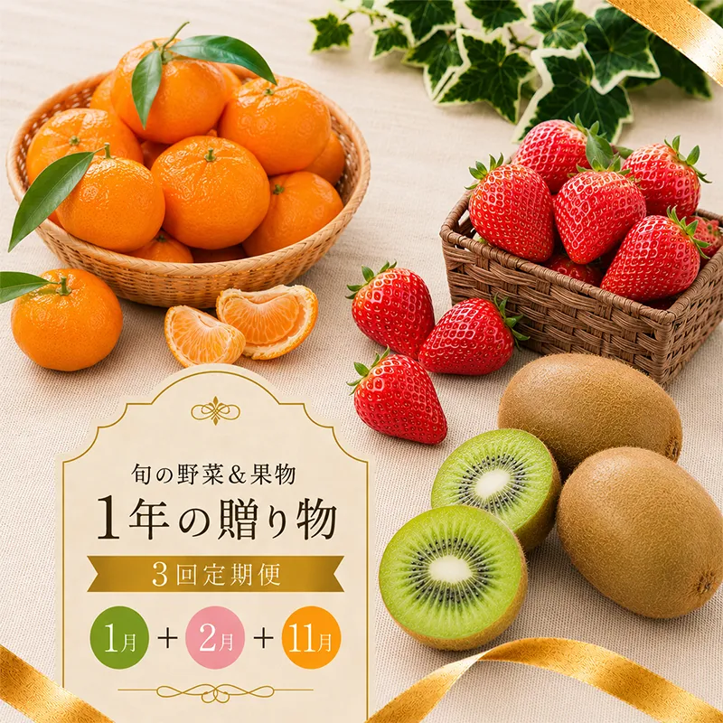 定期便 3回 いちご 苺 みかん キウイ 小原紅早生 香緑 さぬき姫 旬 季節 秋 果物 フルーツ 旬 旬のフルーツ 贈答用 ギフト プレゼント 香川県 丸亀市