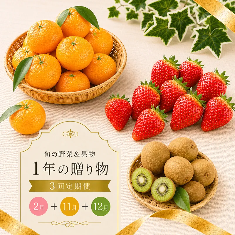 定期便 3回 いちご 苺 みかん キウイ 小原紅早生 キウイっこ 小粒 さぬき姫 旬 季節 秋 果物 フルーツ 旬 旬のフルーツ 贈答用 ギフト プレゼント 香川県 丸亀市