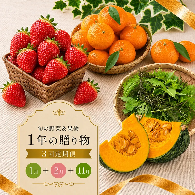 定期便 3回 いちご 苺 みかん 野菜 セット 小原紅早生 さぬき姫 旬 季節 秋 果物 フルーツ 旬 旬のフルーツ 贈答用 ギフト プレゼント 香川県 丸亀市