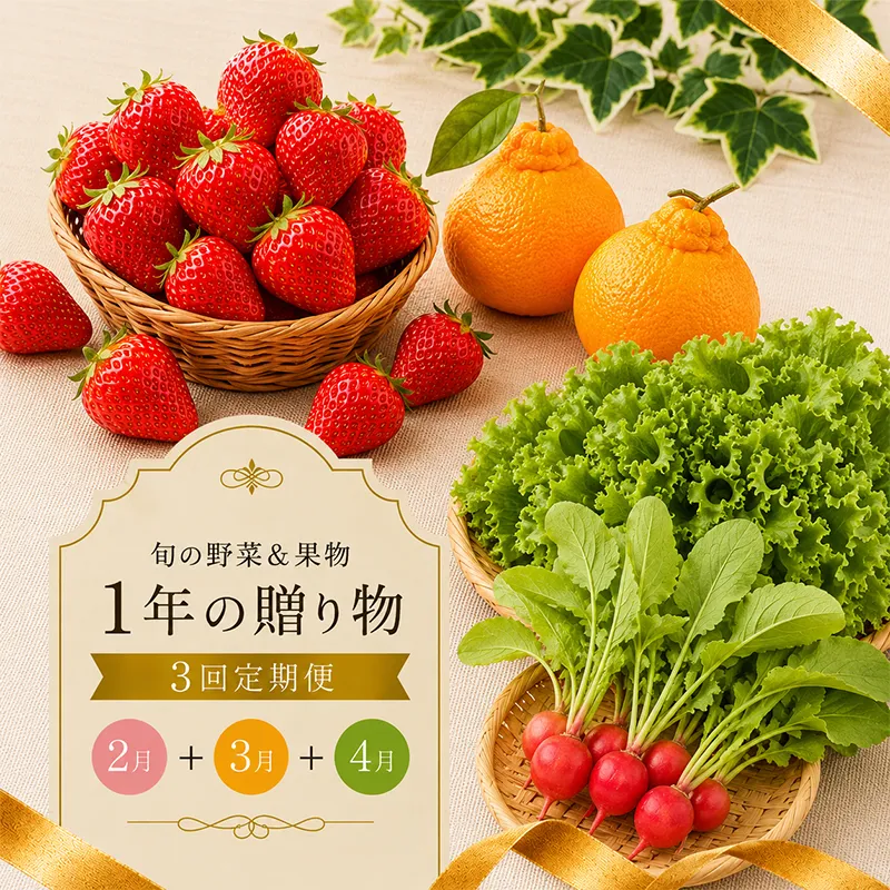 定期便 3回 いちご 苺 デコポン 野菜 セット さぬき姫 旬 季節 秋 果物 フルーツ 旬 旬のフルーツ 贈答用 ギフト プレゼント 香川県 丸亀市