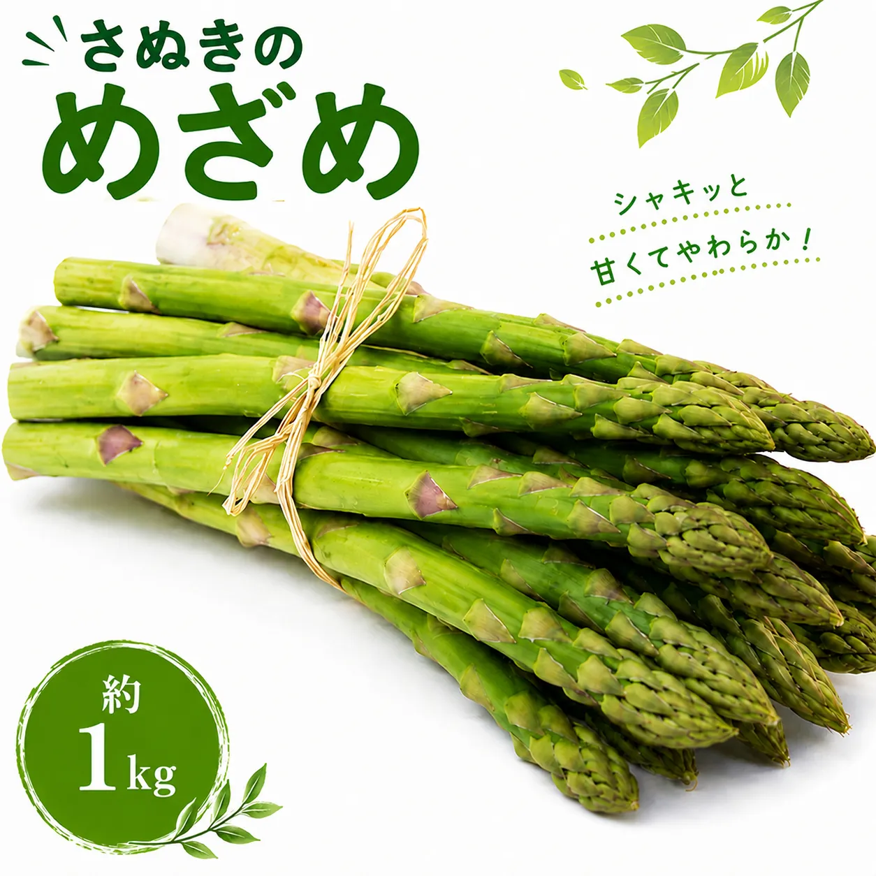 アスパラガス 香川県オリジナル品種 さぬきのめざめ 約1kg 国産 アスパラ 新鮮 野菜 やわらかい シャキシャキ 朝採れ 旬 厳選 人気 家庭用 高品質 香川県 丸亀市