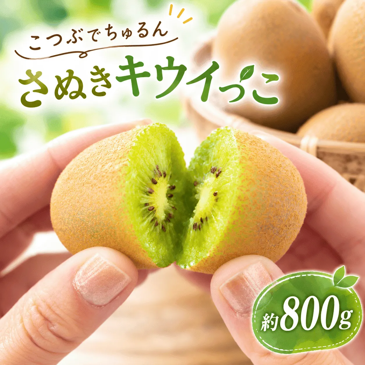 キウイ さぬきキウイっこ 約800g 11月から順次発送 国産 キウイ 小玉キウイ 完熟 旬 新鮮 厳選 フルーツ 人気 家庭用 高品質 香川県 丸亀市