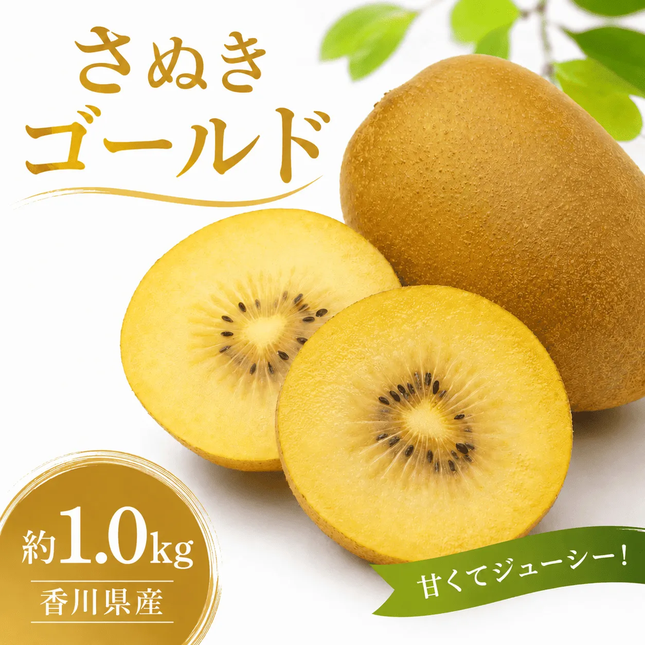 香川県産 ゴールドキウイ さぬきゴールド 約1.0kg 10月から順次発送 国産 キウイ 国産キウイ 旬 新鮮 厳選 フルーツ 人気 家庭用 高品質 ギフト 香川県 丸亀市
