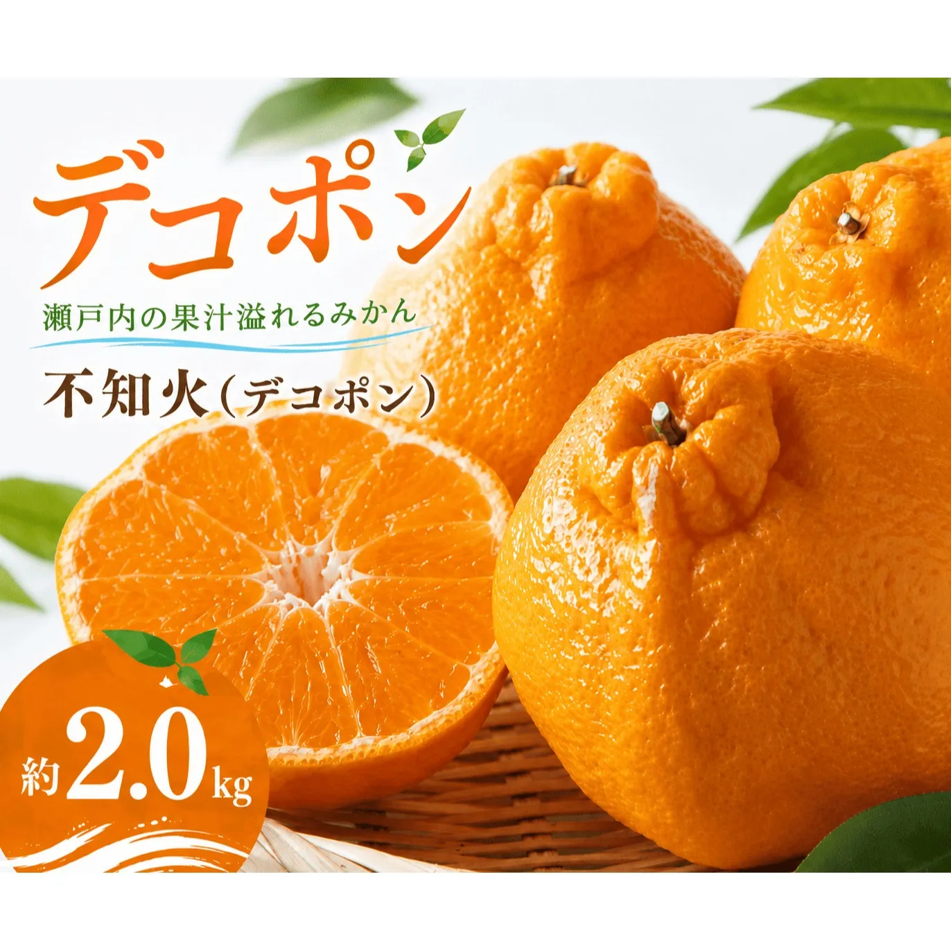 2027年発送 デコポン 3月上旬より発送 デコポン 不知火 約2.0kg 柑橘 みかん 国産デコポン 甘い 完熟 旬 新鮮 厳選 フルーツ 果物 人気 家庭用 高品質 おすすめ 香川県 丸亀市 早期予約
