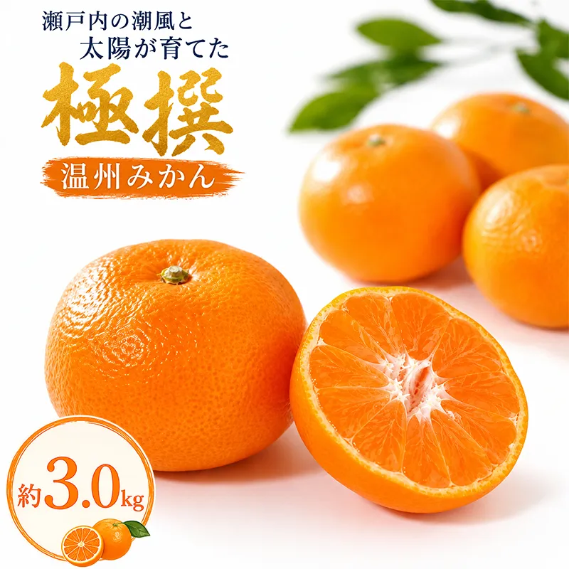 みかん 10月中旬より発送 温州みかん 極撰 約3.0kg 国産みかん 柑橘 完熟 旬 新鮮 厳選 フルーツ 果物 人気 家庭用 香川県 丸亀市 早期予約