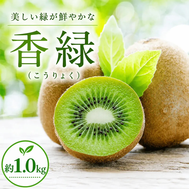 キウイ 12月中旬より発送 香緑 約1.0kg キウイフルーツ 国産キウイ 完熟 旬 新鮮 厳選 フルーツ 果物 人気 家庭用 香川県 丸亀市 早期予約