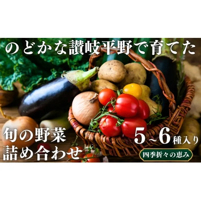 のどかな讃岐平野で育てた 旬の野菜 詰め合わせセット　今が旬 健康 野菜ボックス ヘルシー食材