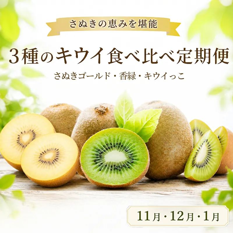キウイ 定期便 3回 食べ比べ ゴールドキウイ キウイフルーツ さぬきゴールド 香緑 キウイっこ 小粒 果物 フルーツ ヨーグルト アイス 朝食 おやつ ビタミン 香川県 丸亀市