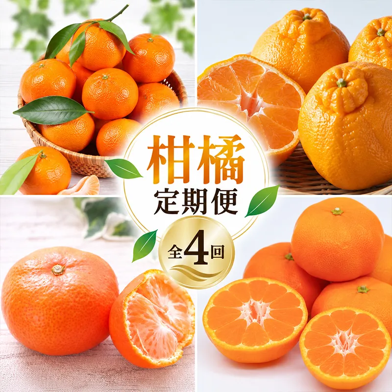 柑橘 みかん 定期便 4回 デコポン 温州みかん 小原紅早生 紅みかん 訳あり 蜜柑 orange 果物 フルーツ ヨーグルト アイス 朝食 おやつ ビタミン 香川県 丸亀市