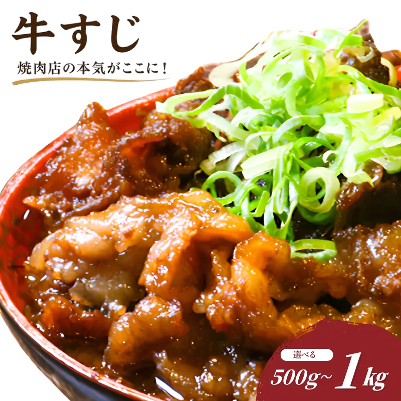 牛すじ煮込み 約500g 選べる内容量 国産牛 おかず おつまみ 惣菜 冷凍 自家製 焼肉きゅう 香川県 丸亀市