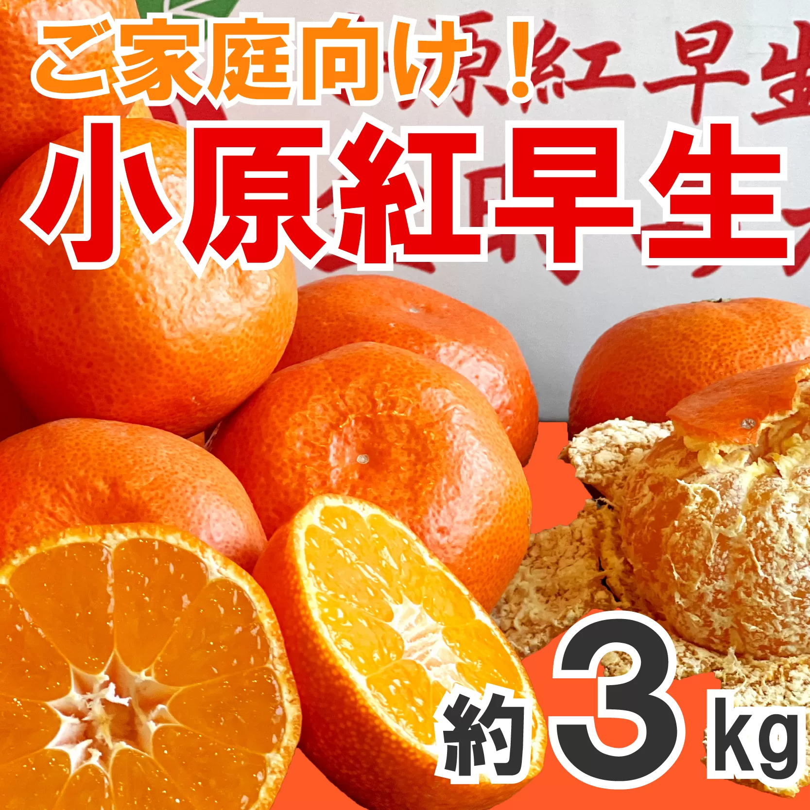 【2025年11月中旬より順次発送】【家庭用】みかん 小原紅早生 約3kg 真っ赤なみかん 小原紅早生みかん 甘い ミカン 蜜柑 フルーツ 果物 くだもの 柑橘 柑橘類 デザート 旬 産地直送 冬の味覚 旬の果物 旬のフルーツ お取り寄せ 取り寄せ
