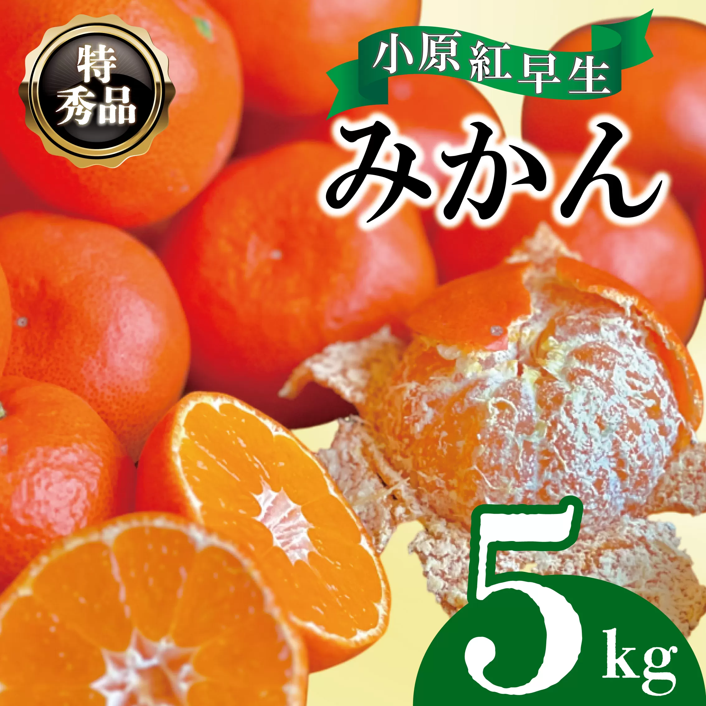 【2025年11月中旬より順次発送】【特秀品】みかん 小原紅早生 約5kg 真っ赤なみかん 小原紅早生みかん 甘い ミカン 蜜柑 フルーツ 果物 くだもの 柑橘 柑橘類 デザート 旬 産地直送 冬の味覚 旬の果物 旬のフルーツ お取り寄せ 取り寄せ