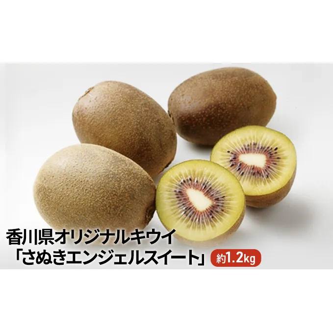 香川県オリジナルキウイ「さぬきエンジェルスイート」約1.2kg　果実 甘い 讃岐 くだもの ジューシー フルーツ 果物詰合せ 