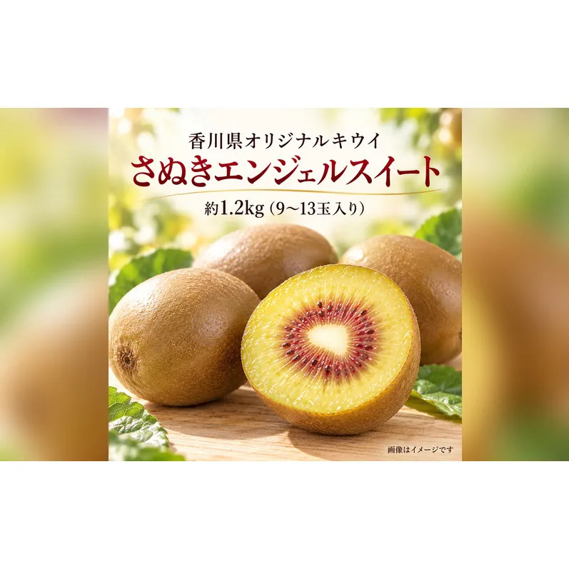 香川県オリジナルキウイ「さぬきエンジェルスイート」約1.2kg　果実 甘い 讃岐 くだもの ジューシー フルーツ 果物詰合せ