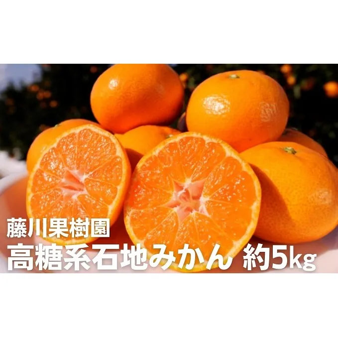 2026年冬よりお届け 高糖系石地みかん 約5kg 果物類／みかん 柑橘類 フルーツ ミカン 蜜柑 