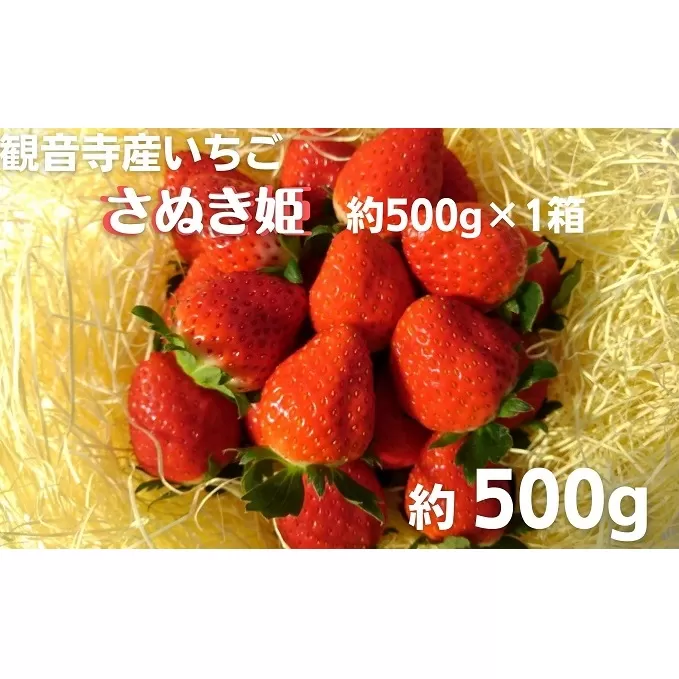 数量限定　観音寺産いちご（さぬき姫）バラ詰め約500g×1箱