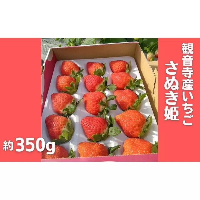数量限定　観音寺産いちご（さぬき姫）約350g×1箱 果物類 苺 イチゴ オリジナル品種 紅色 高設式養液栽培 プレゼント 
