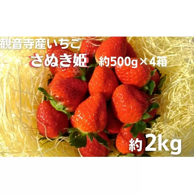 数量限定　観音寺産いちご（さぬき姫）バラ詰め約2kg（約500g×4箱） 果物類 苺 イチゴ オリジナル品種 紅色 高設式養液栽培 プレゼント 