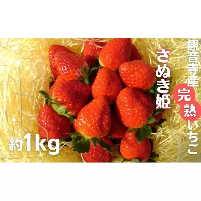 数量限定　苺狩りの食味をお届け！観音寺産完熟いちご（さぬき姫）約1kg