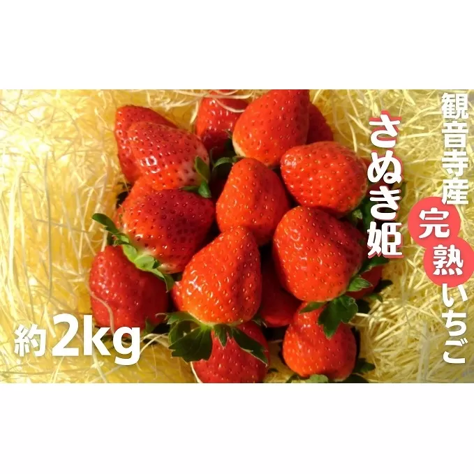 数量限定　苺狩りの食味をお届け！観音寺産完熟いちご（さぬき姫）約2kg