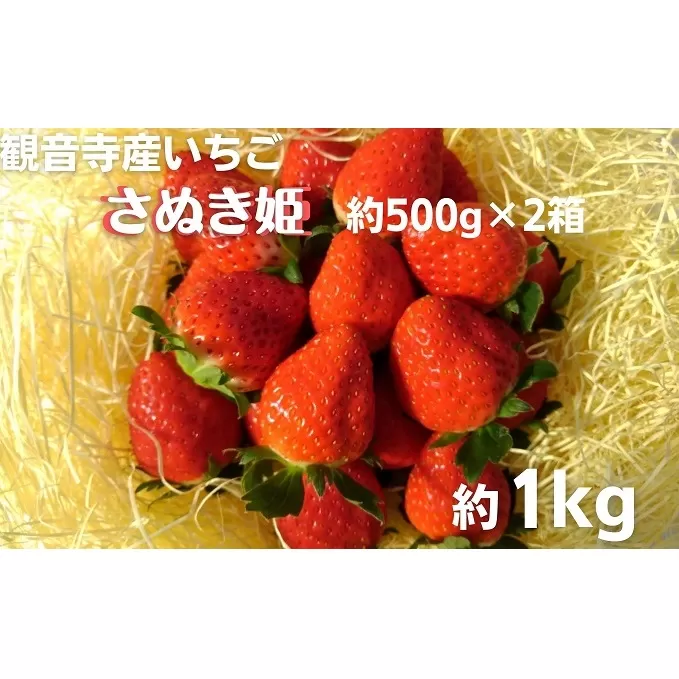 数量限定　観音寺産いちご（さぬき姫）バラ詰め約1kg（約500g×2箱）