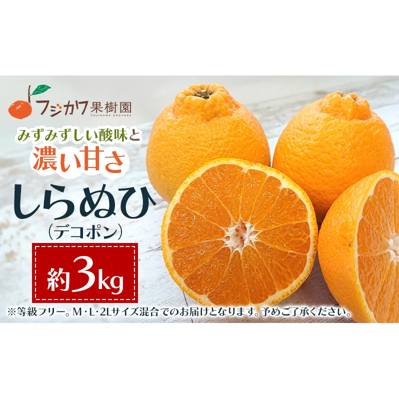 2026年先行予約 味自慢！讃岐 しらぬひ　約3kg 果物類 みかん 柑橘類 デコポン　 