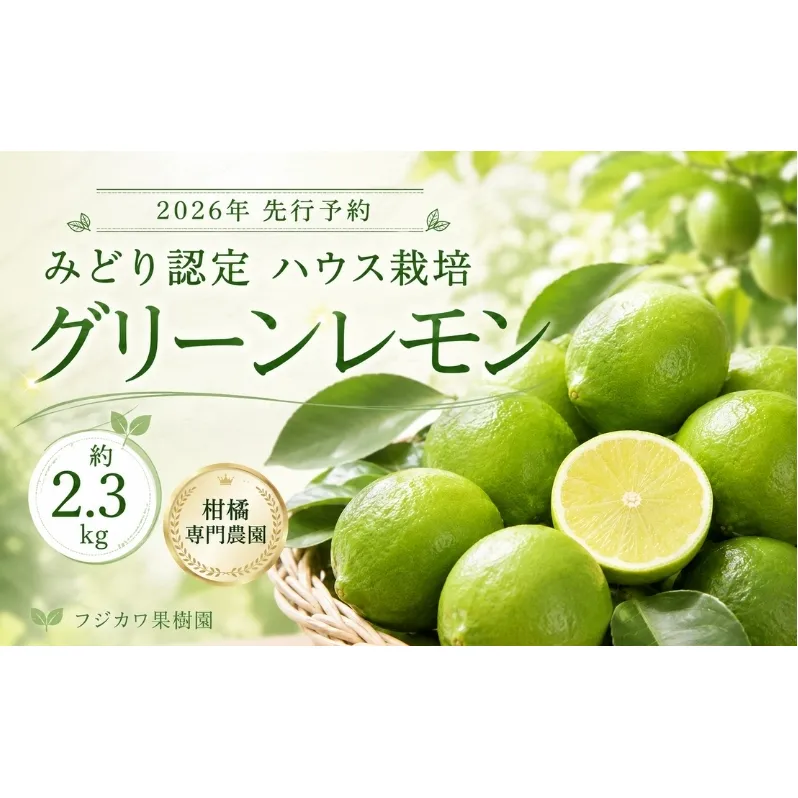【2026年 先行予約】みどり認定 ハウス栽培グリーンレモン 約2.3kg 国産レモン 香川 果物類／柑橘類／みかん レモン　