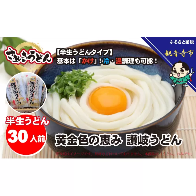 「さぬきうどん半生」 黄金色の恵み 讃岐うどん 30人前 300g×10袋 麺類 