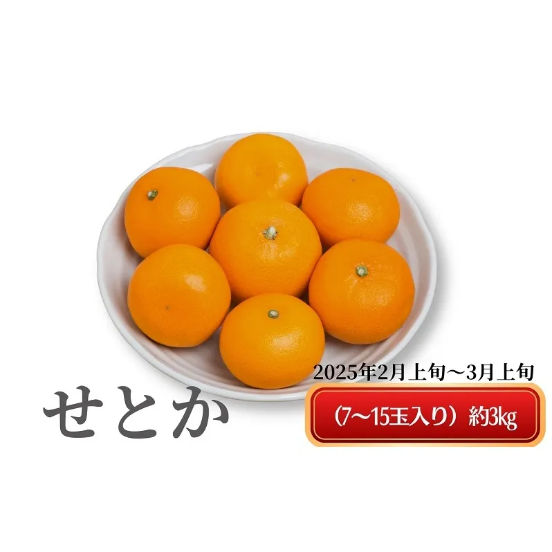 《とろける美味》 せとか 約3kg 甘い みかん （ お取り寄せ おすすめ 美味しい せとかみかん せとかふるさと納税 季節限定 柑橘 蜜柑 かんきつ フルーツ 青果 果物 くだもの 贈り物 特産品 ） 香川県観音寺市