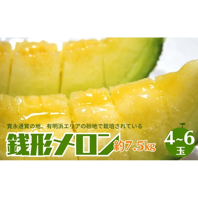 銭形メロン 4～6玉入り 約7.5kg ［アールスメロン］ 果物類 フルーツ