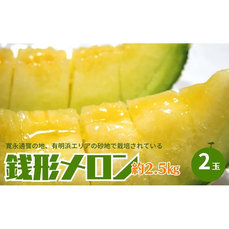 銭形メロン 2玉 化粧箱入り 約2.5kg　［アールスメロン］ 果物類 フルーツ 