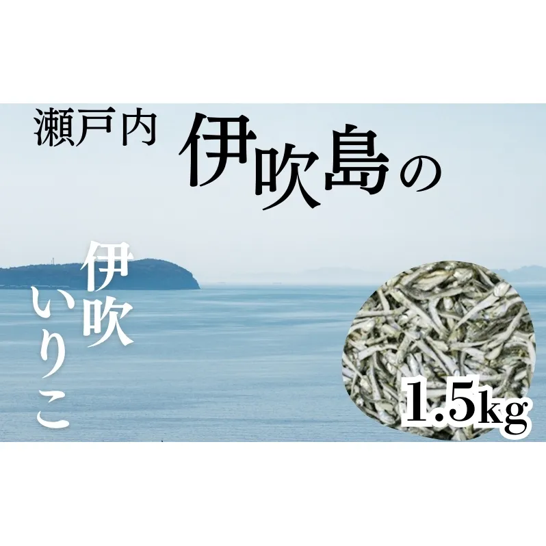 伊吹いりこ 1.5kg　出汁 さぬき特産 魚貝 魚介類 
