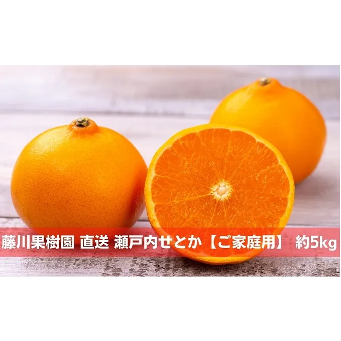 2026年先行予約 数量限定  瀬戸内せとか 約5kg【ご家庭用】 みかん フルーツ 果物 柑橘類 