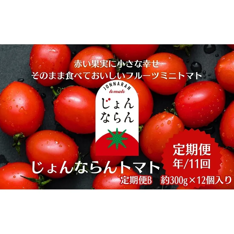 モリヒロ園芸が育てたじょんならんトマトの定期便B　約300g×12個入り（年間11回） 野菜 ミニトマト 甘い フルーツ サラダ 
