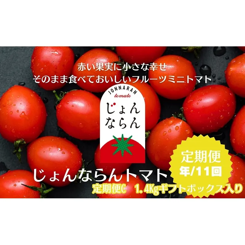 モリヒロ園芸が育てたじょんならんトマトの定期便C　ギフトボックス入り（年間11回） 野菜 ミニトマト 甘い フルーツ サラダ 